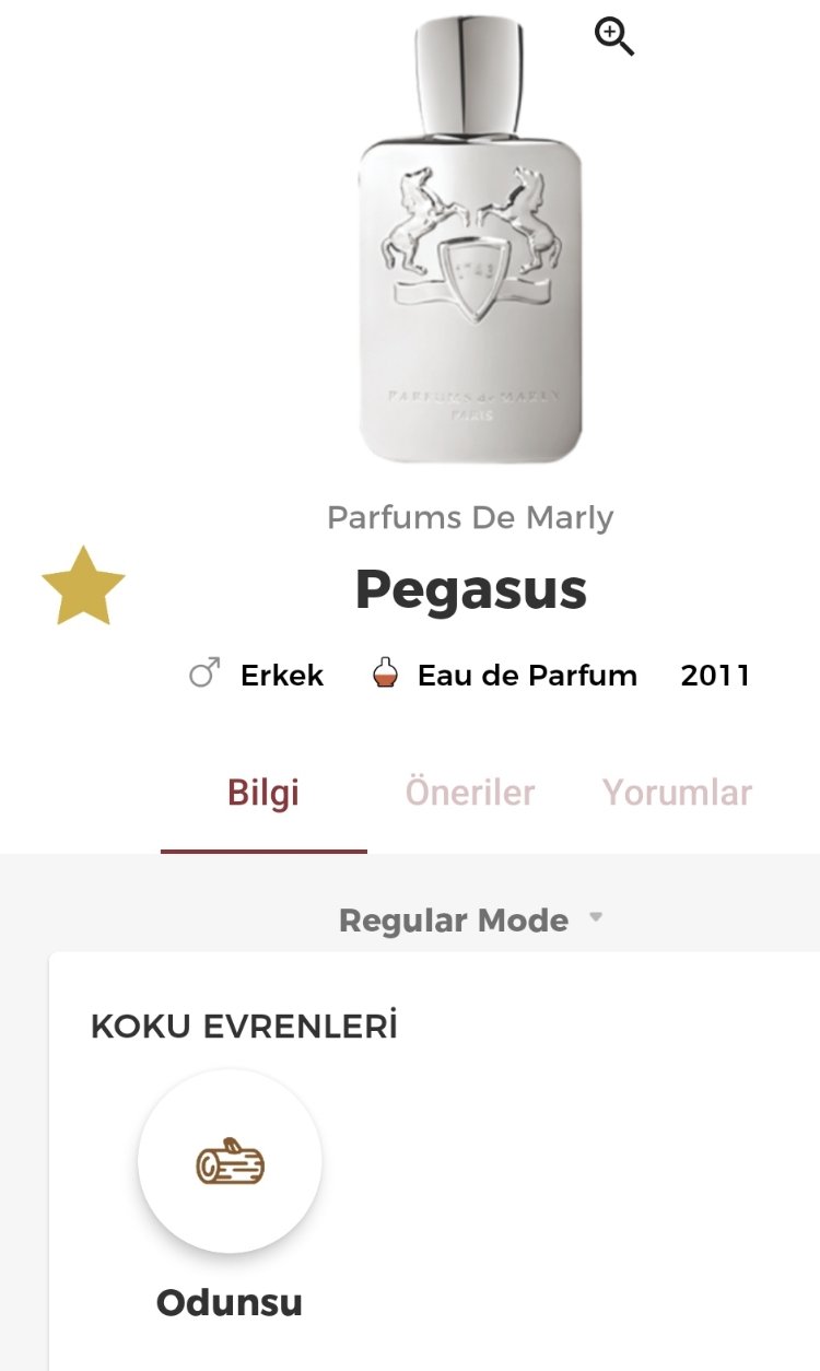 Parfums de Marley Pegasus Edp Erkek Parfümü 125ml