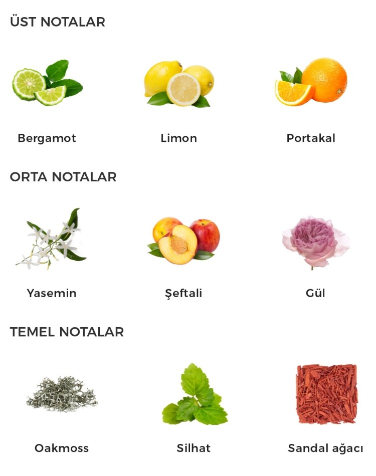 Cholé Nomade Kadın Parfümü 75ml
