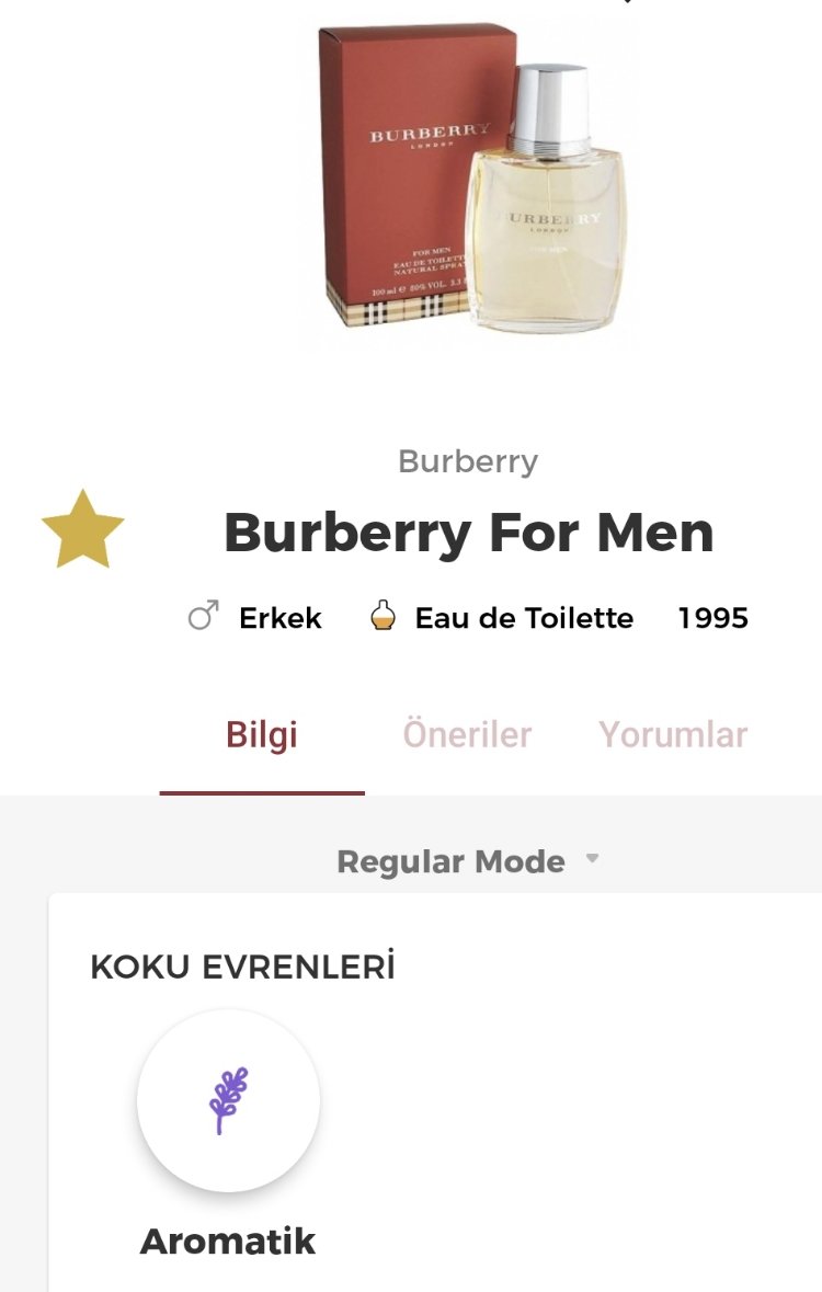 Burberry Classic For Men Edt Erkek Parfümü 100ml