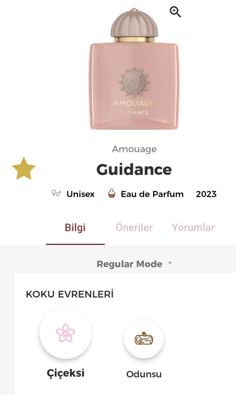 Amouage Guidance Edp Unisex Parfüm 100ml