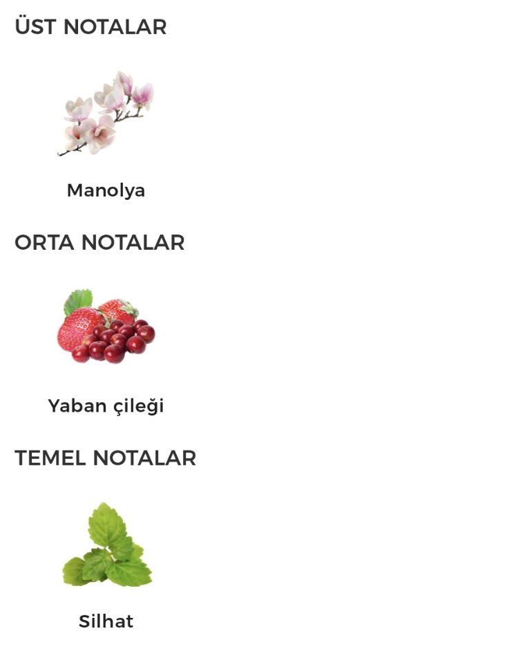 Gucci Flora Gorgeous Magnolia Kadın Parfümü Edp 100ml