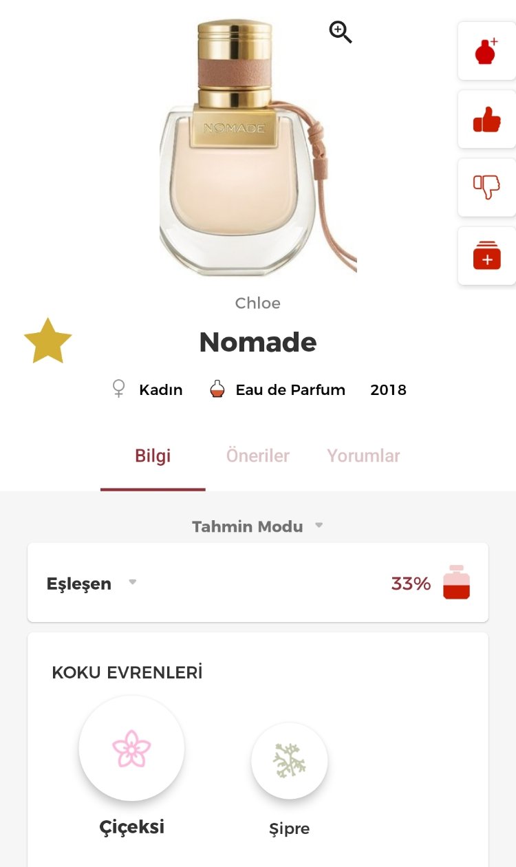 Cholé Nomade Kadın Parfümü 75ml