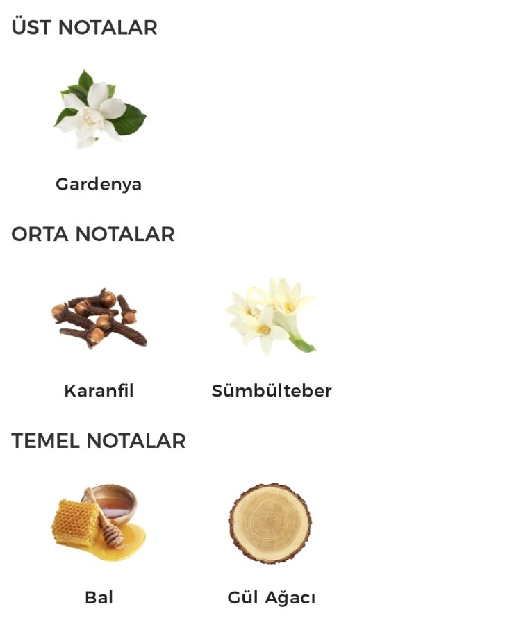 Byredo Casablanca Lily Unisex Parfüm 100ml