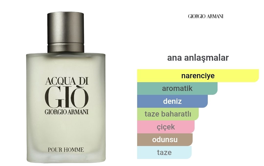 Giorgio Armani Acqua di Gio Pour Homme Edt Erkek Parfümü 100ml 