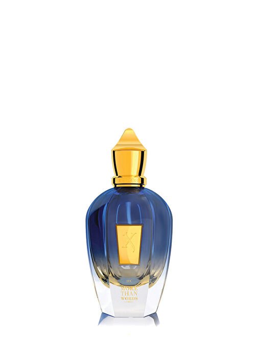 Xerjoff More Than Words Edp 100ml Unisex 