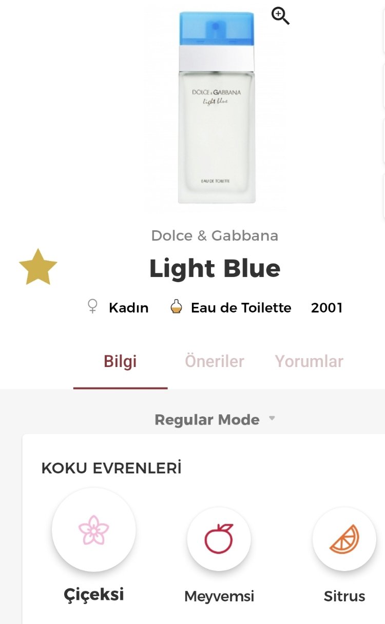Dolce Gabbana Light Blue Kadın Parfümü Edt 100ml