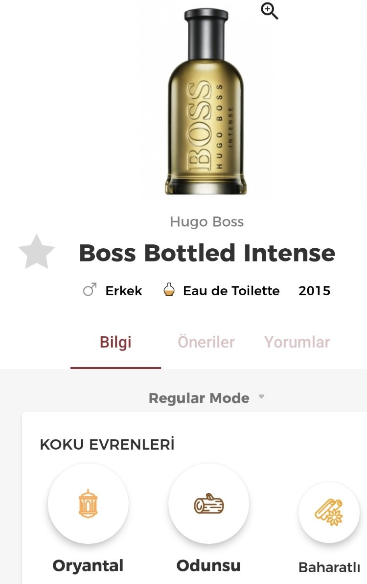 Hugo Boss Bottled İntense Edt Erkek Parfümü 100ml