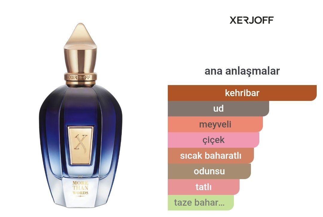 Xerjoff More Than Words Edp 100ml Unisex 