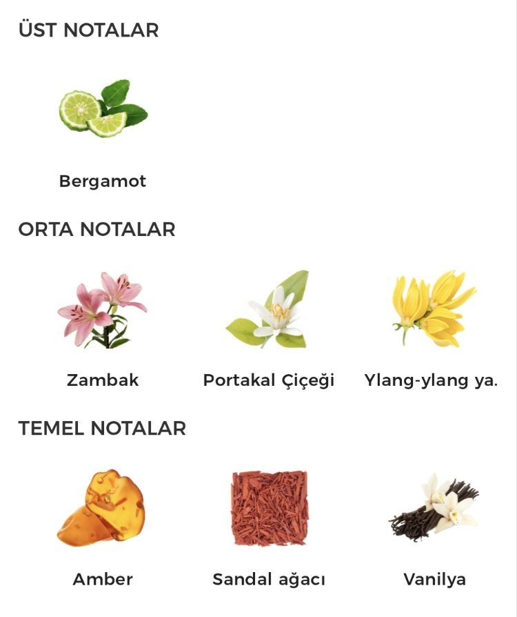 Gucci Bamboo Edp Kadın Parfümü 75ml