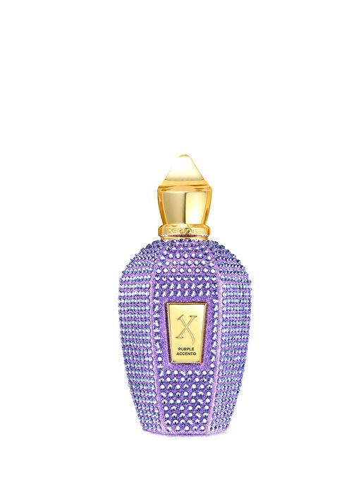 Xerjoff Purple Accento 100ml Unisex