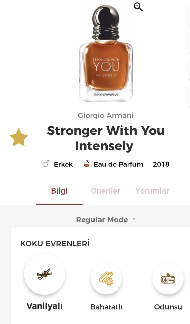 Stronger With You İntelsely Edp Erkek Parfümü 100ml
