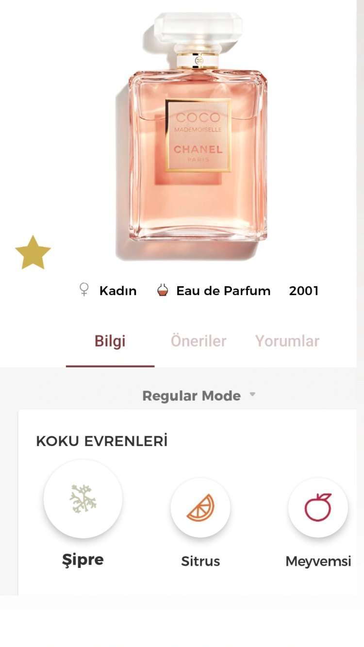 Chanel Coco Mademoiselle Edp Kadın Parfümü 100ml