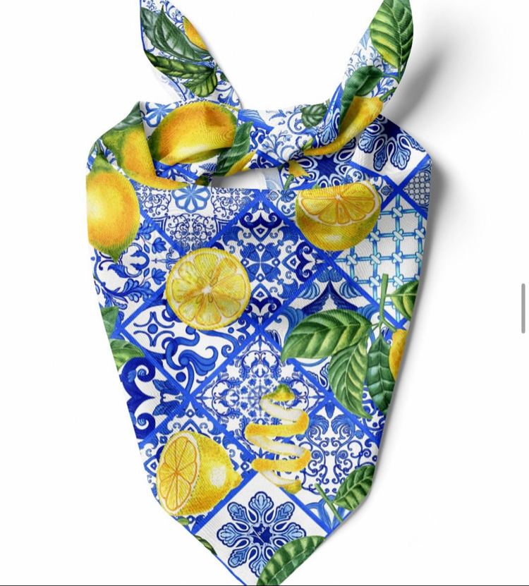 Limonlu Fular 