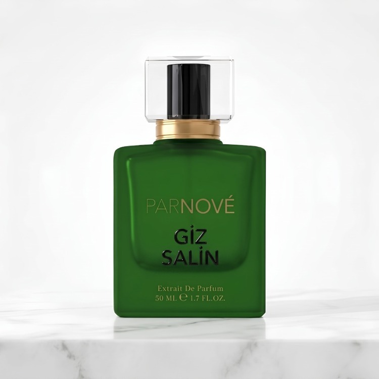 Giz Salin