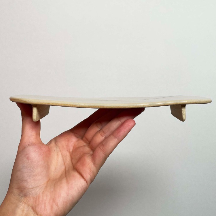 Dal Desenli Sushi Tabağı