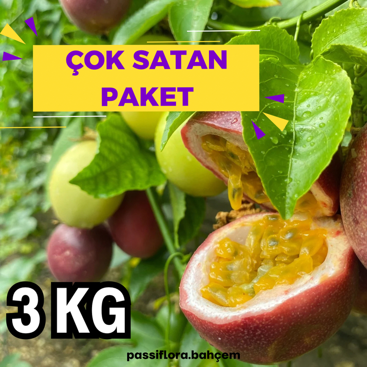 3 KİLOGRAM - Passiflora Çarkıfelek Meyvesi (Ön Sipariş)