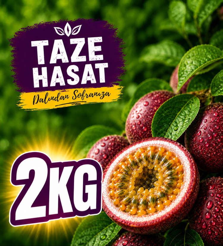 2 KİLOGRAM - Passiflora Çarkıfelek Meyvesi