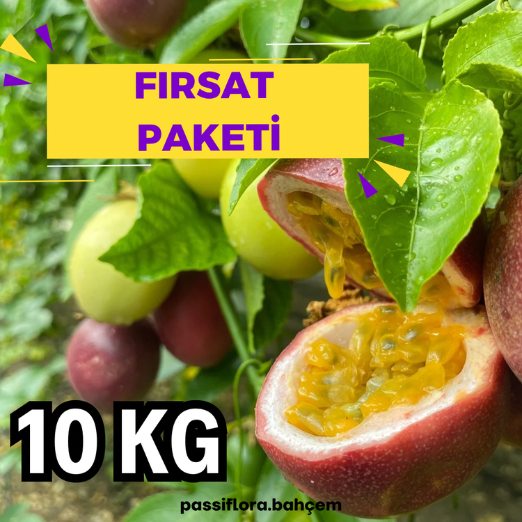 10 KİLOGRAM  - Passiflora Çarkıfelek Meyvesi (Ön Sipariş)
