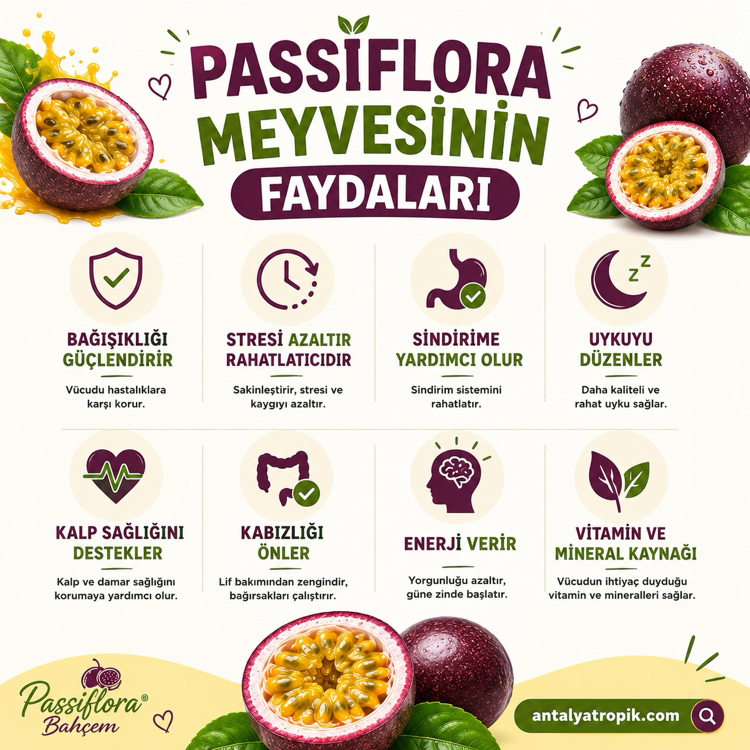 3 KİLOGRAM - Passiflora Çarkıfelek Meyvesi