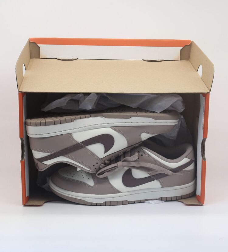 Nike Dunk Low