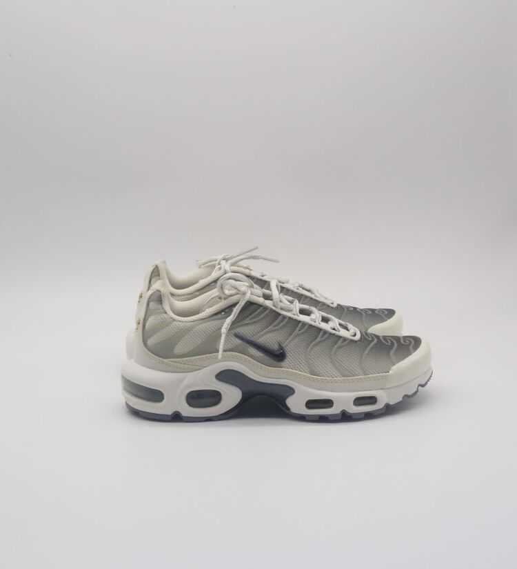 Nike Air Max Plus Smoke Grey