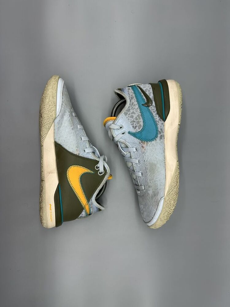 Nike Zoom LeBron NXXT Gen