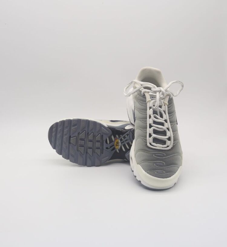 Nike Air Max Plus Smoke Grey