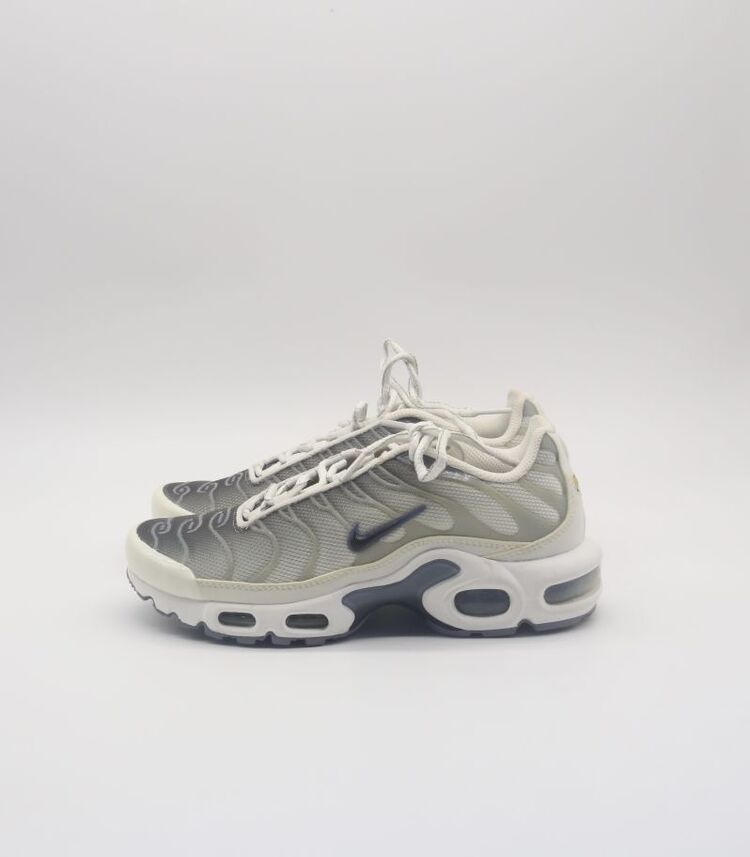 Nike Air Max Plus Smoke Grey