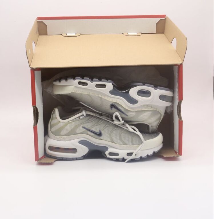 Nike Air Max Plus Smoke Grey