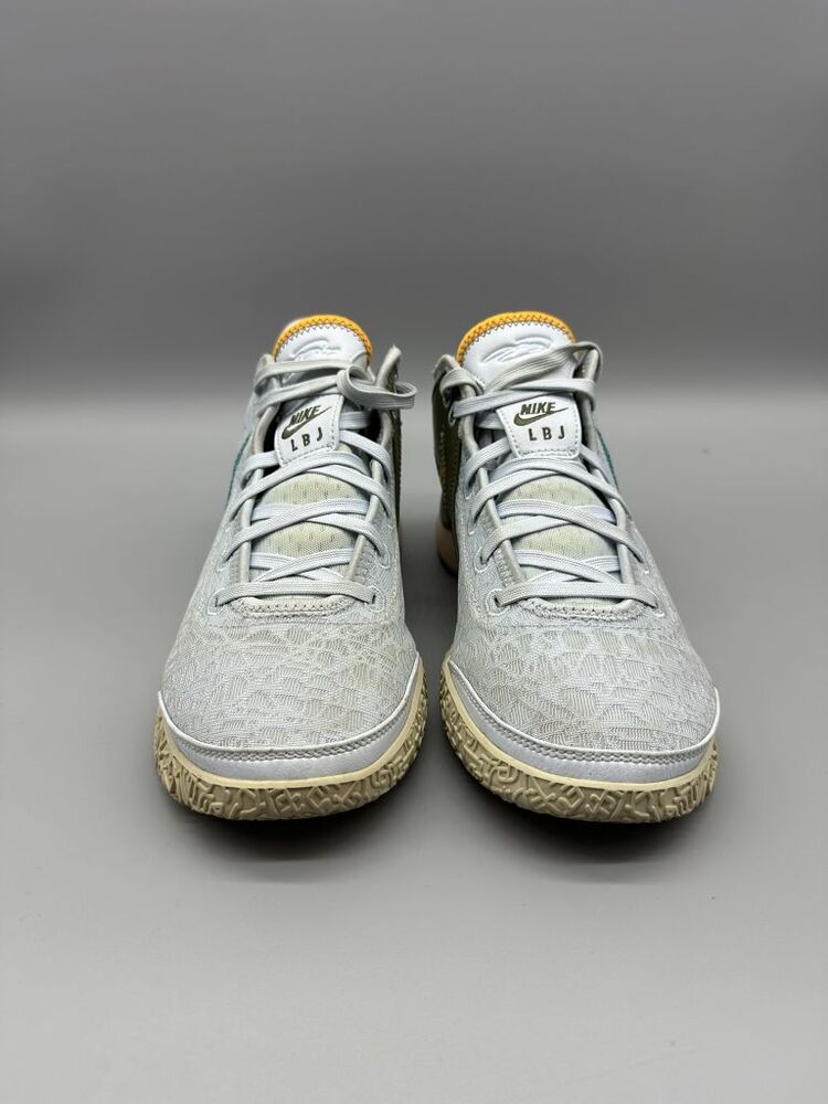 Nike Zoom LeBron NXXT Gen