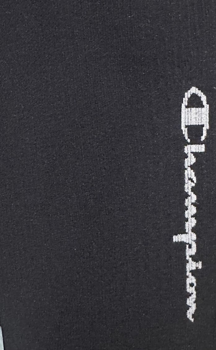 Champion Tayt - L / 40