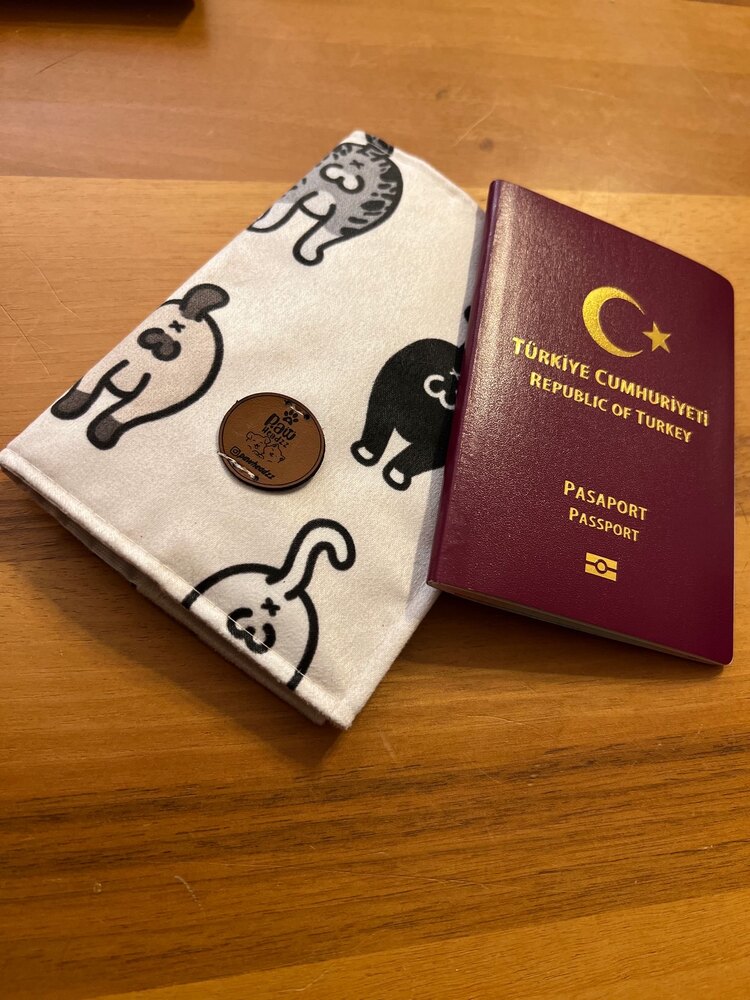 Neşeli Gödler Pasaport Kılıfı :)