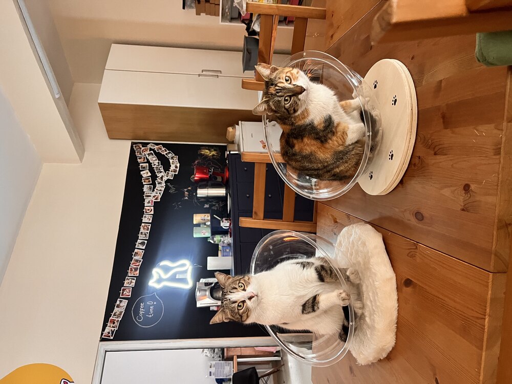 Mini Küre :)