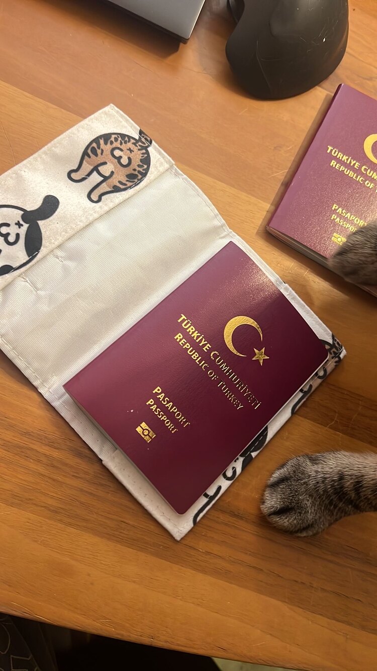 Neşeli Gödler Pasaport Kılıfı :)