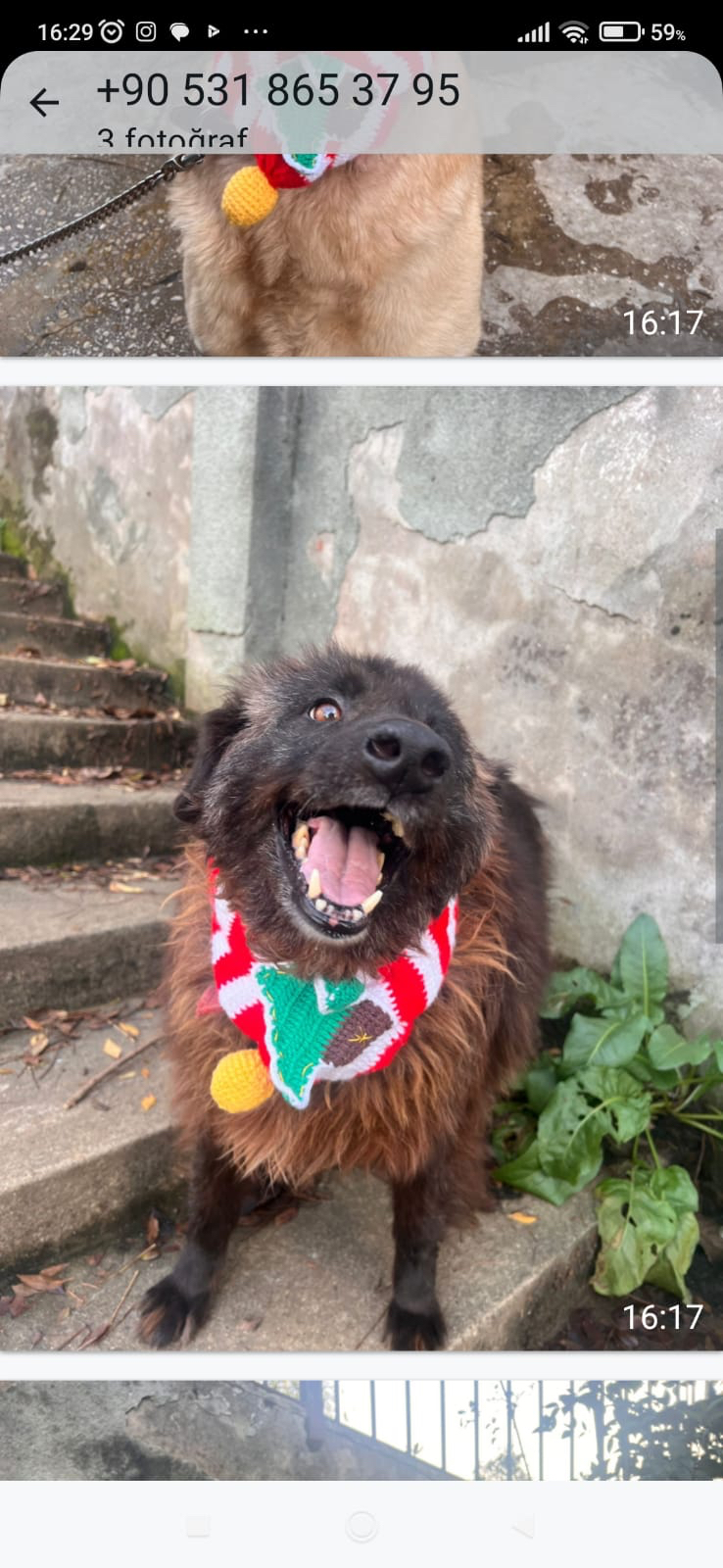 Ho Ho Ho Atkısı