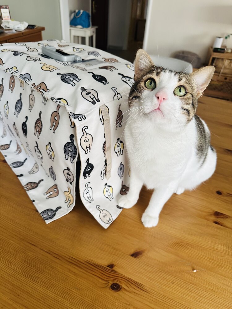 DaşDaş - Box Örtüsü