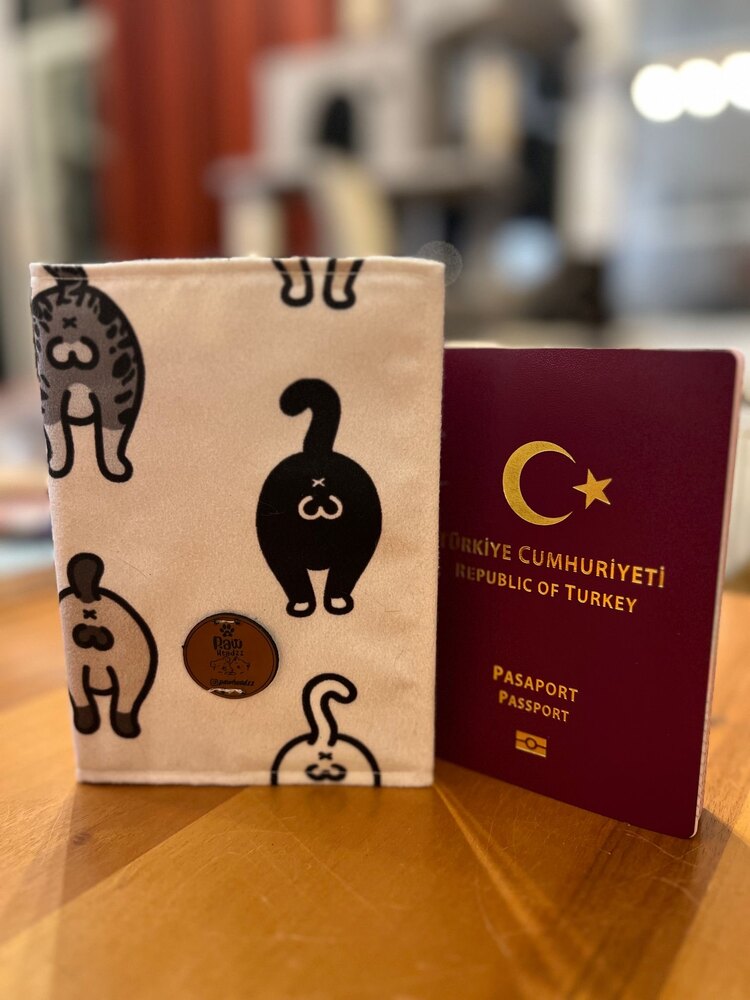 Neşeli Gödler Pasaport Kılıfı :)