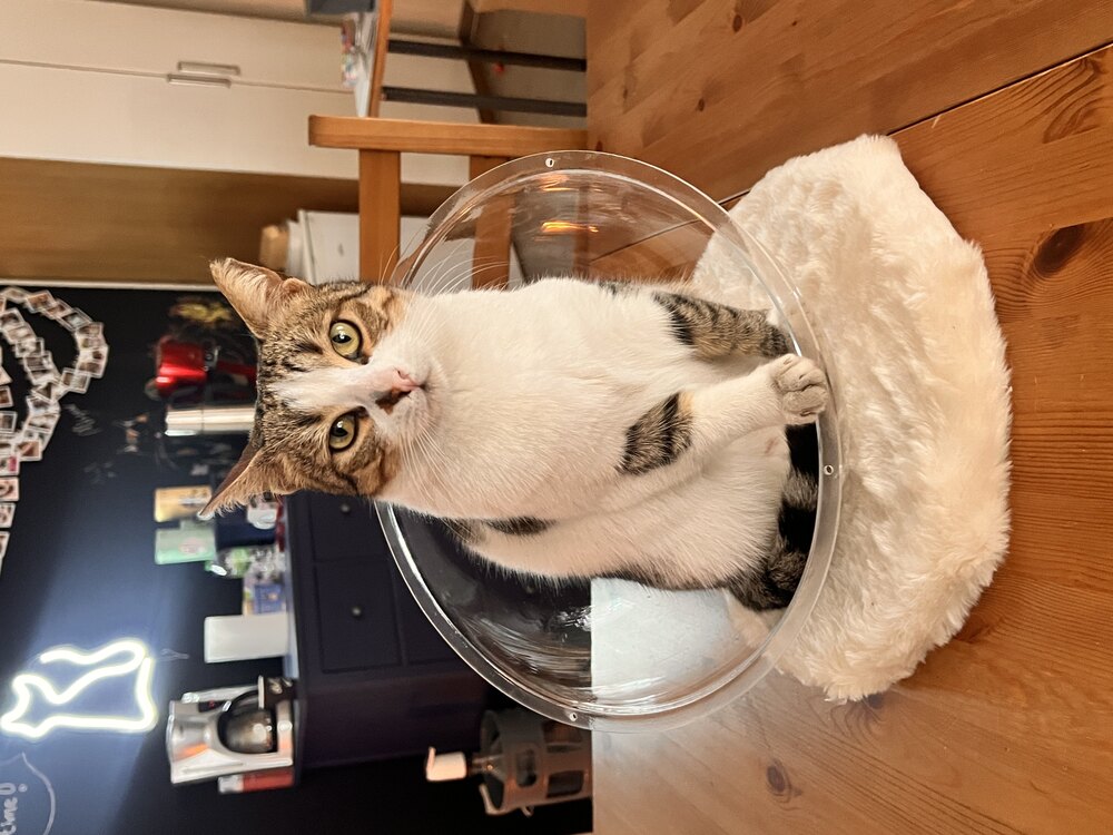 Mini Küre :)