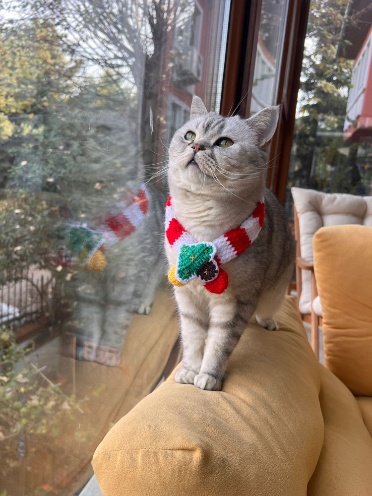 Ho Ho Ho Atkısı