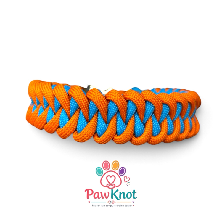Blue Mandarin Paracord Kedi/Köpek Tasması