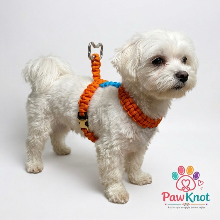 MiniBone Paracord Göğüs Tasması