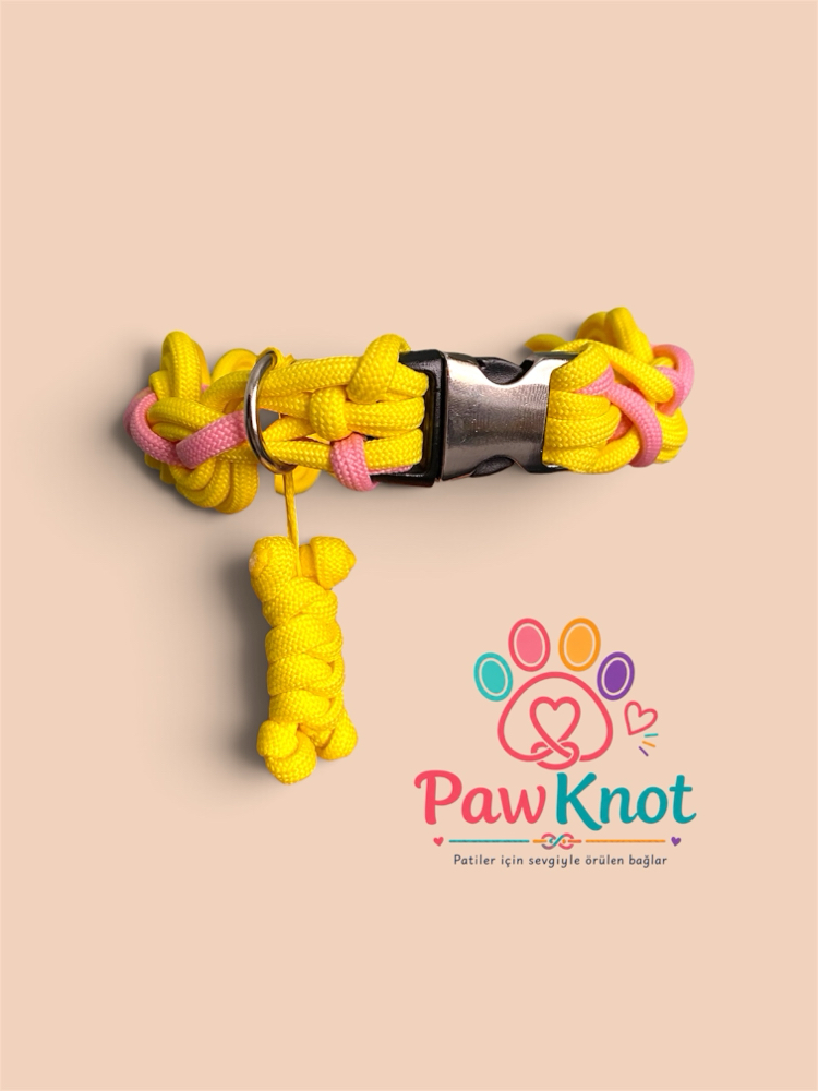 Şeker Pati Paracord Tasma