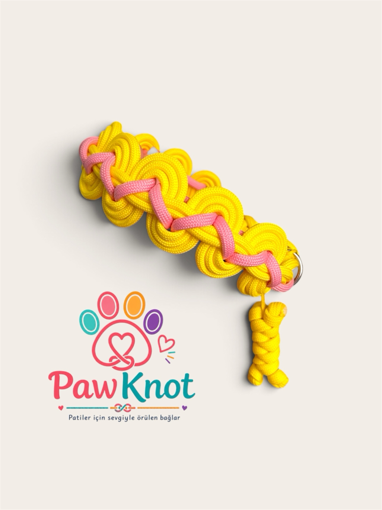 Şeker Pati Paracord Tasma