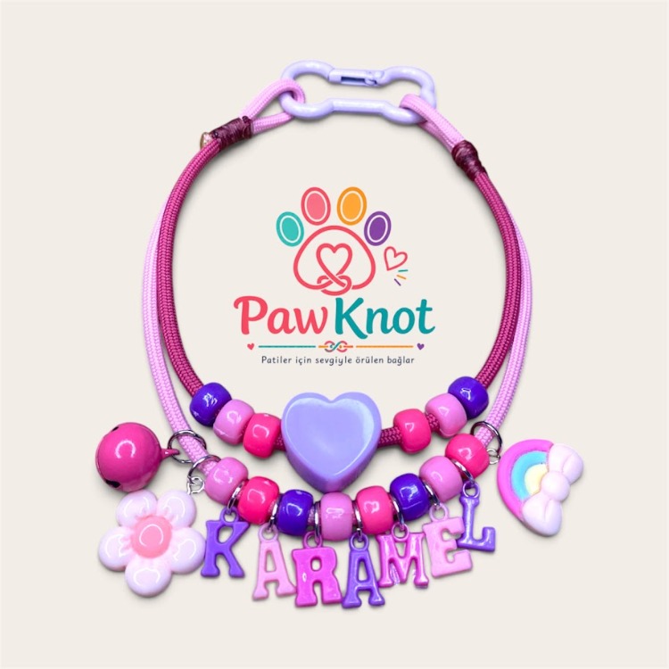 Pink Dream Evcil Hayvan Kolyesi