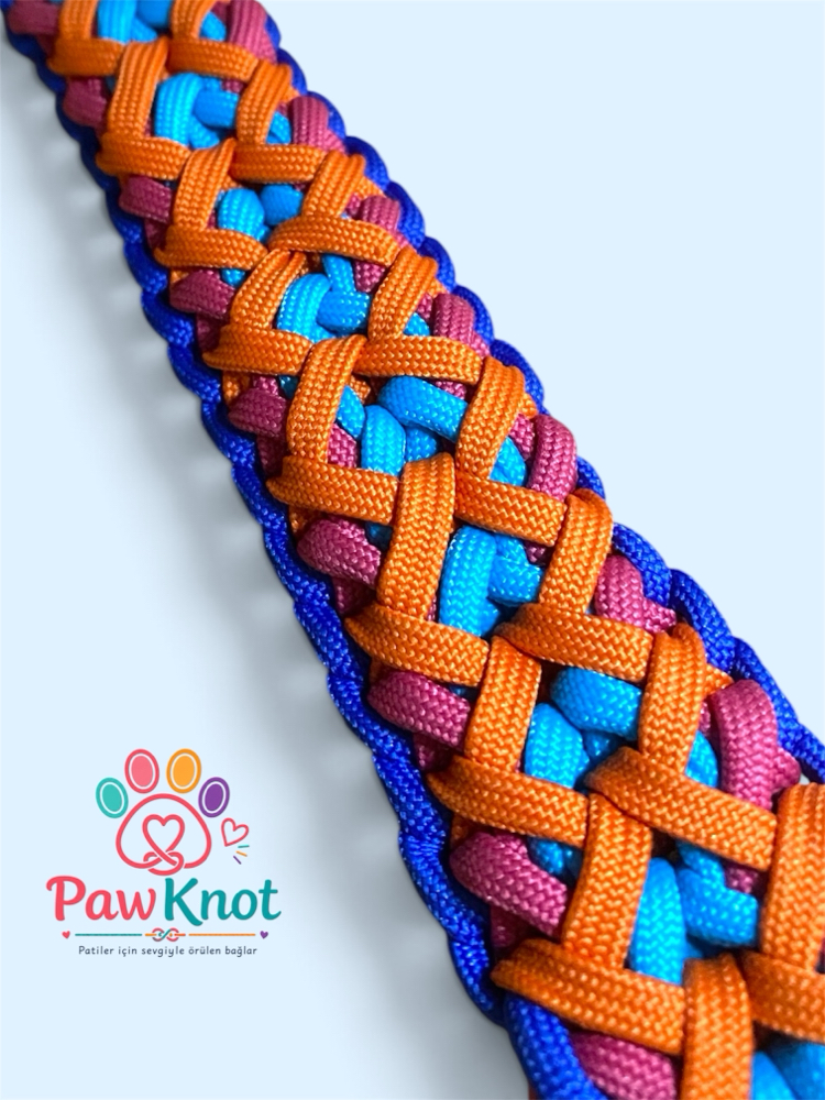 KnottyBone Paracord Köpek Tasması