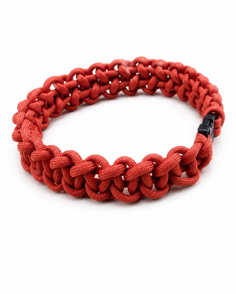 El Yapımı Paracord Köpek Tasması + isimlik