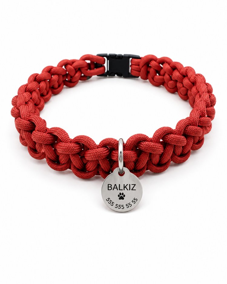 El Yapımı Paracord Köpek Tasması + isimlik