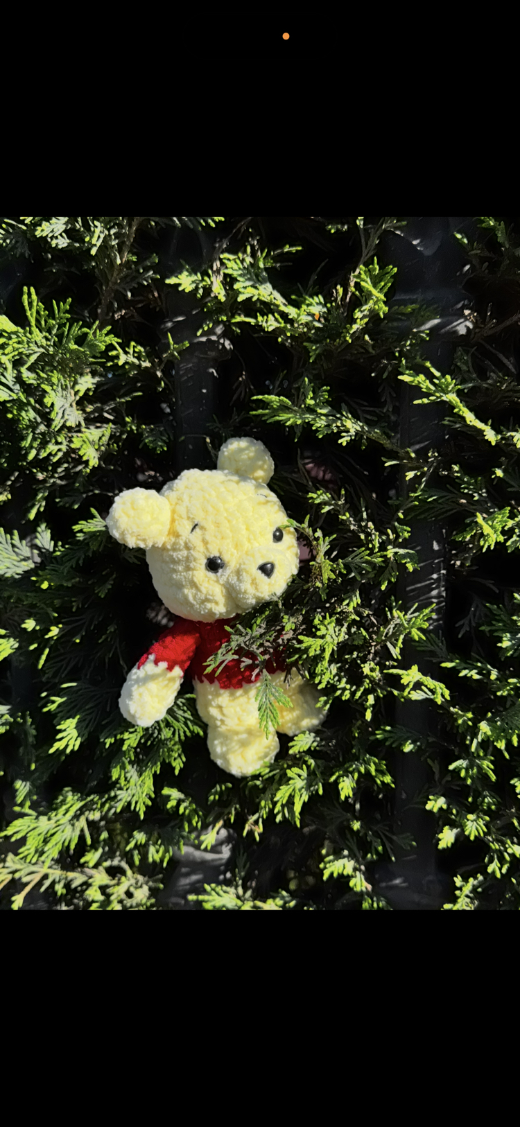 Bear Winnie 