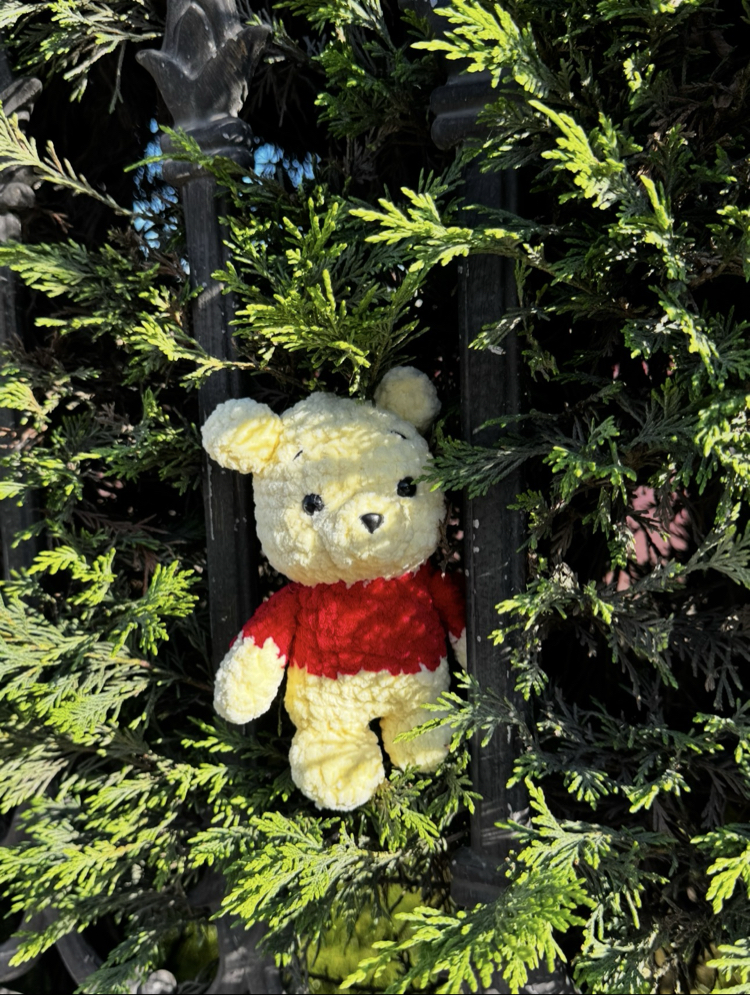 Bear Winnie 