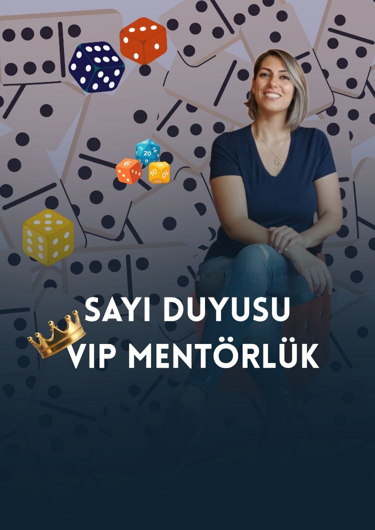 Sayı Duyusu Vip Grup Mentörlük